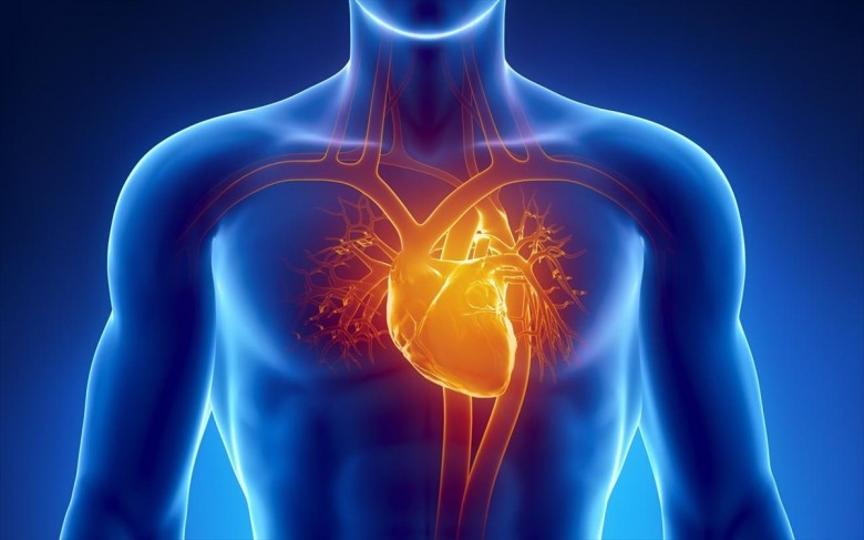   Καρδιακή ανακοπή , ενημερωθείτε σήμερα κιόλας πριν να είναι αργά  __ ΤΣΙΦΛΙΔΗΣ _ Σ. _ ΧΑΡΑΛΑΜΠΟΣ  __ ΕΚΠΑΙΔΕΥΤΙΚΟΣ __ ''TSIFLIDIS  SECURITY SERVICES - T.S.S.''